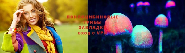 МДПВ Нягань