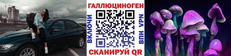 Псилоцибиновые грибы MAGIC MUSHROOMS где найти Тарко-Сале